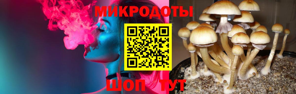 Галлюциногенные грибы MAGIC MUSHROOMS Шелехов